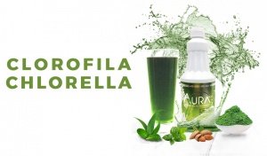 CLOROFILA